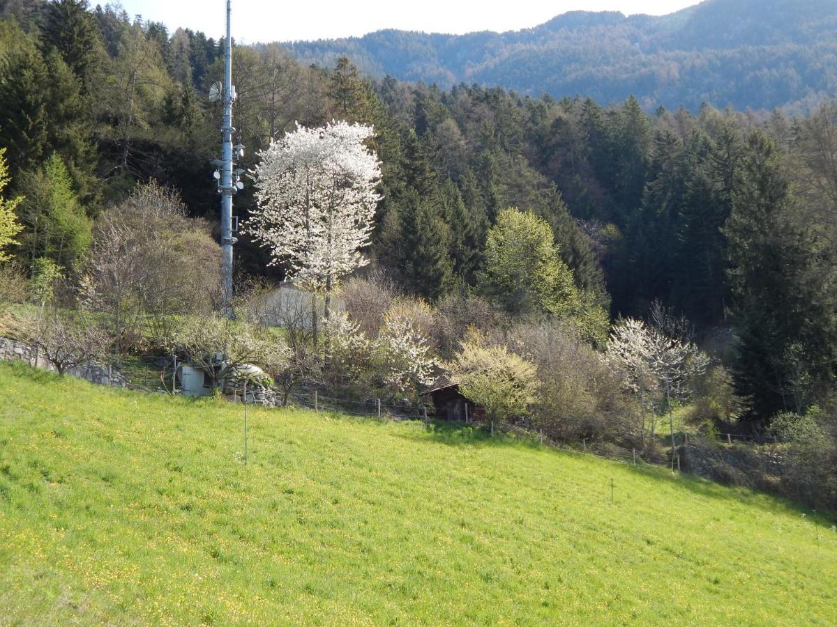 L Ame Et Son Du Coeur Villa Dorenaz Bagian luar foto
