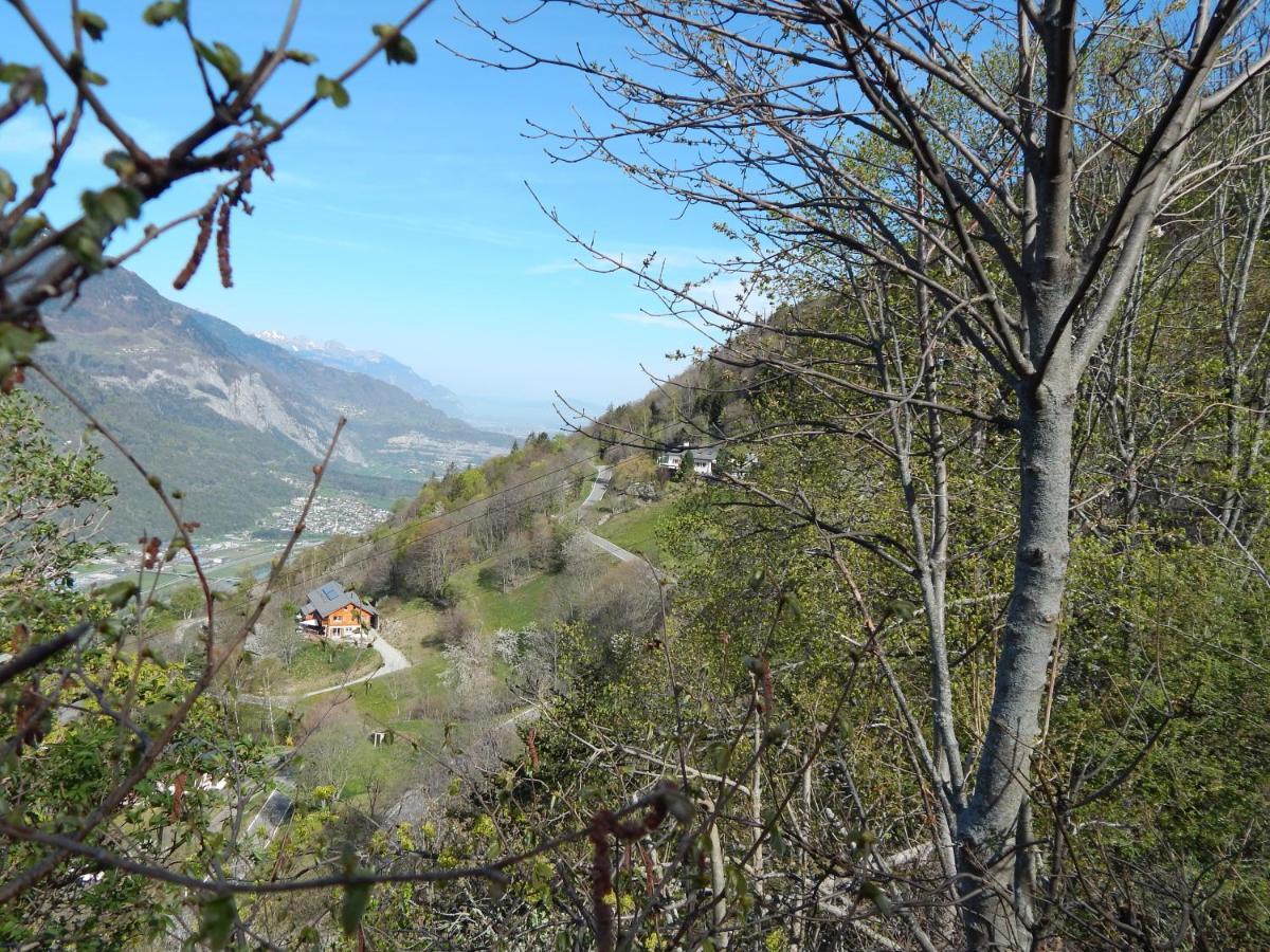 L Ame Et Son Du Coeur Villa Dorenaz Bagian luar foto