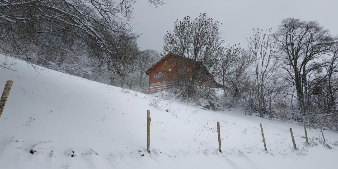 L Ame Et Son Du Coeur Villa Dorenaz Bagian luar foto