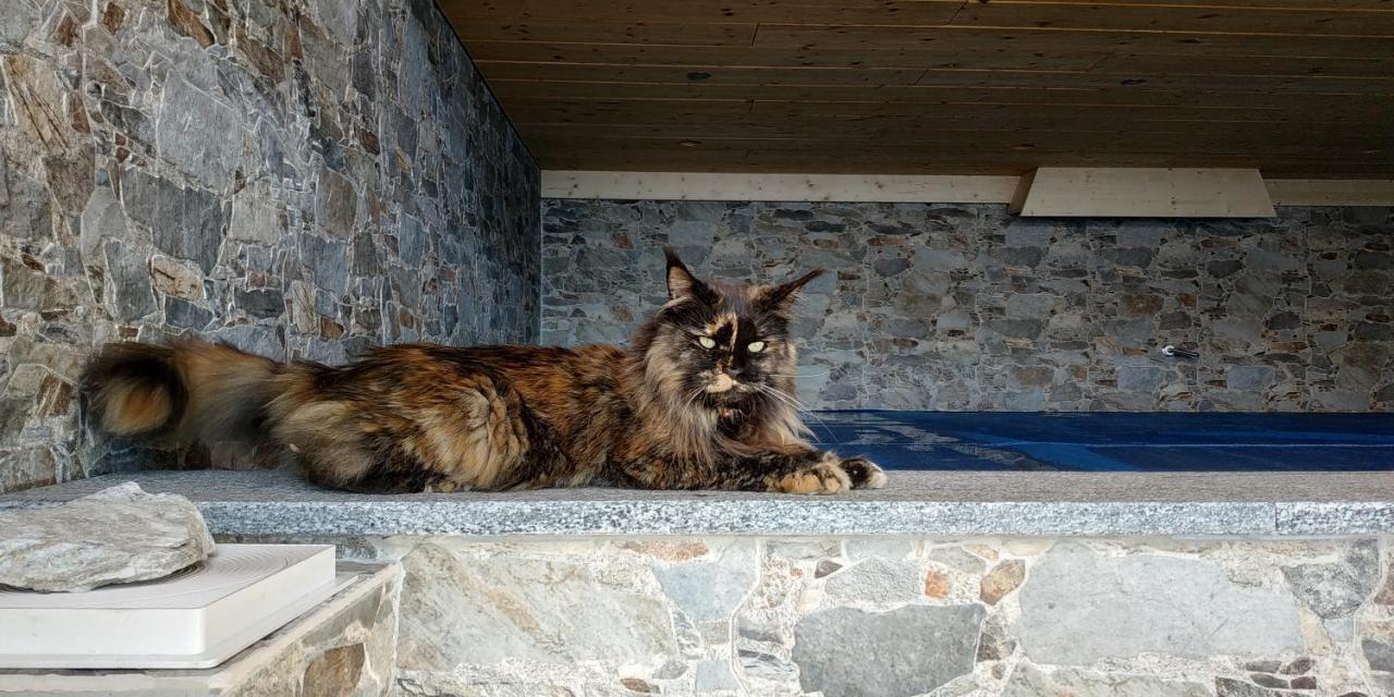 L Ame Et Son Du Coeur Villa Dorenaz Bagian luar foto